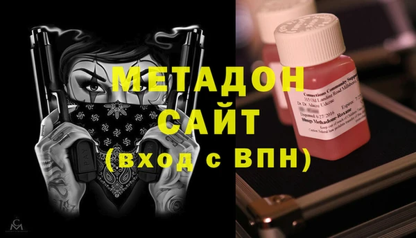 шишки Белокуриха