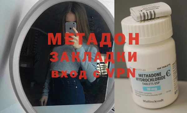 шишки Белокуриха