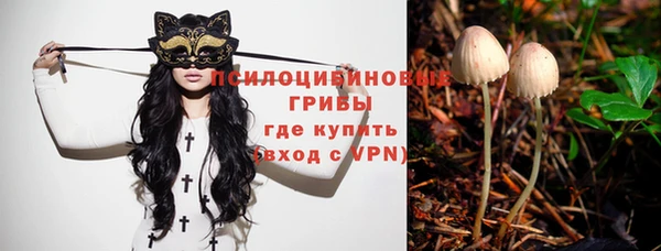 шишки Белокуриха