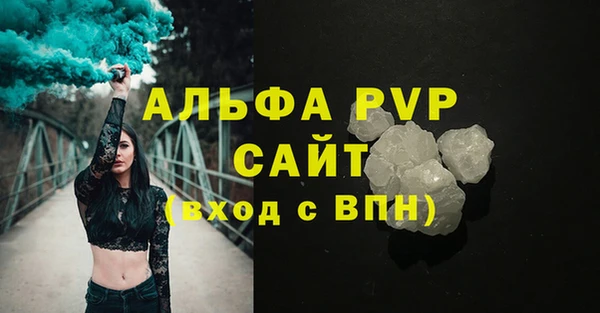 шишки Белокуриха