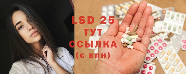 шишки Белокуриха