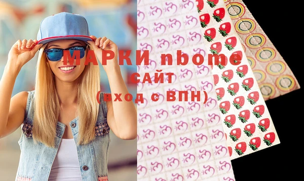 шишки Белокуриха