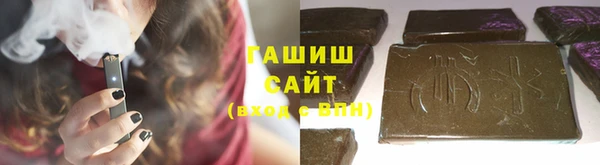 шишки Белокуриха