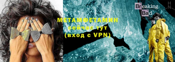 шишки Белокуриха