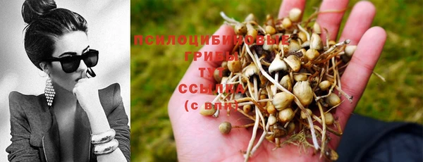 хмурый Белоозёрский