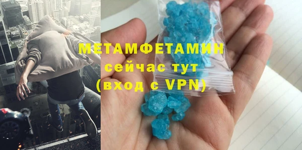 шишки Белокуриха