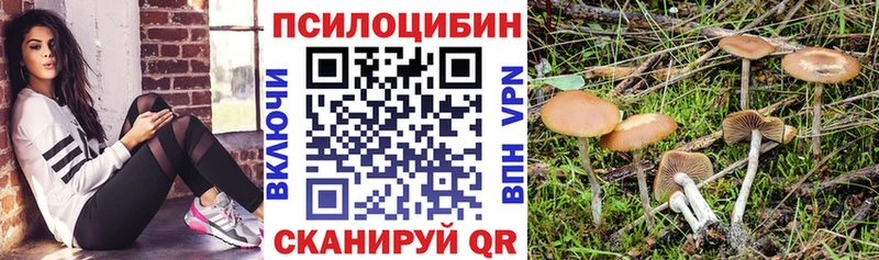 Купить  Елизово  Галлюциногенные грибы мицелий 